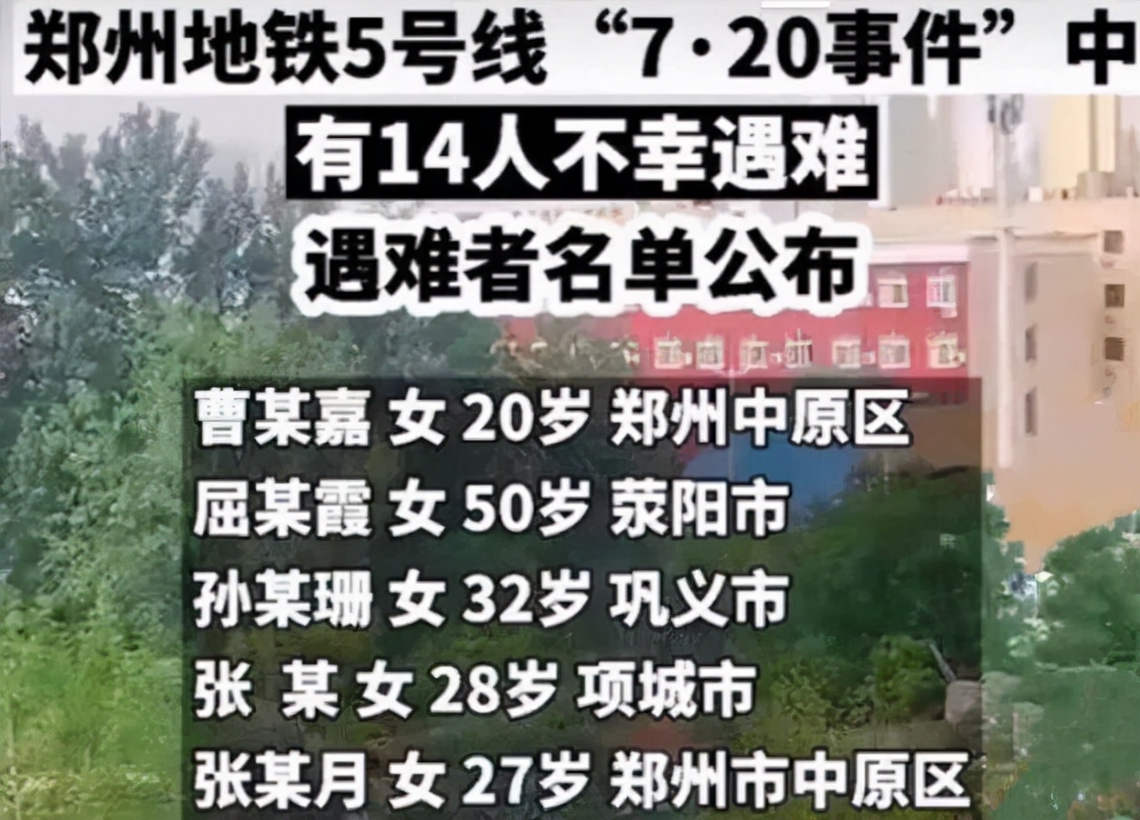 而事实到来时,法官们已经四散.甚至有人抖机灵说妞妞是条狗.