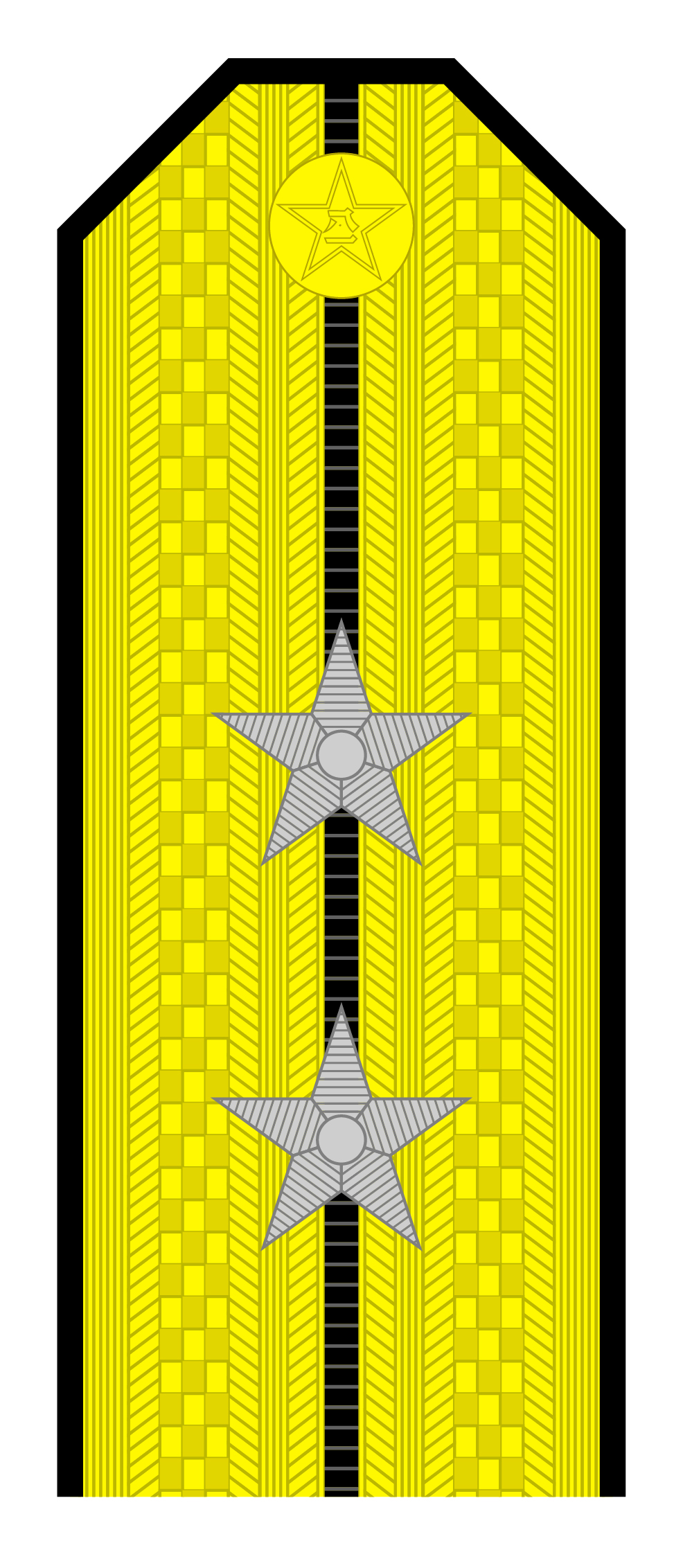 解放军肩章大小图片（解放军55式军衔军官常服肩章一览）