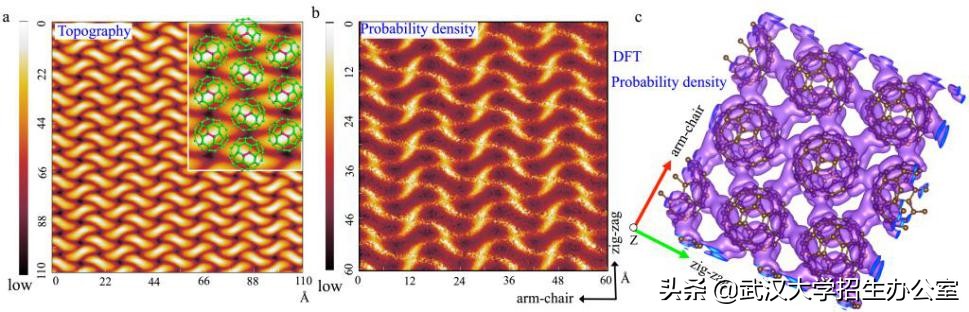 科研新进展！近期，武汉大学10项科研成果登上国际权威期刊