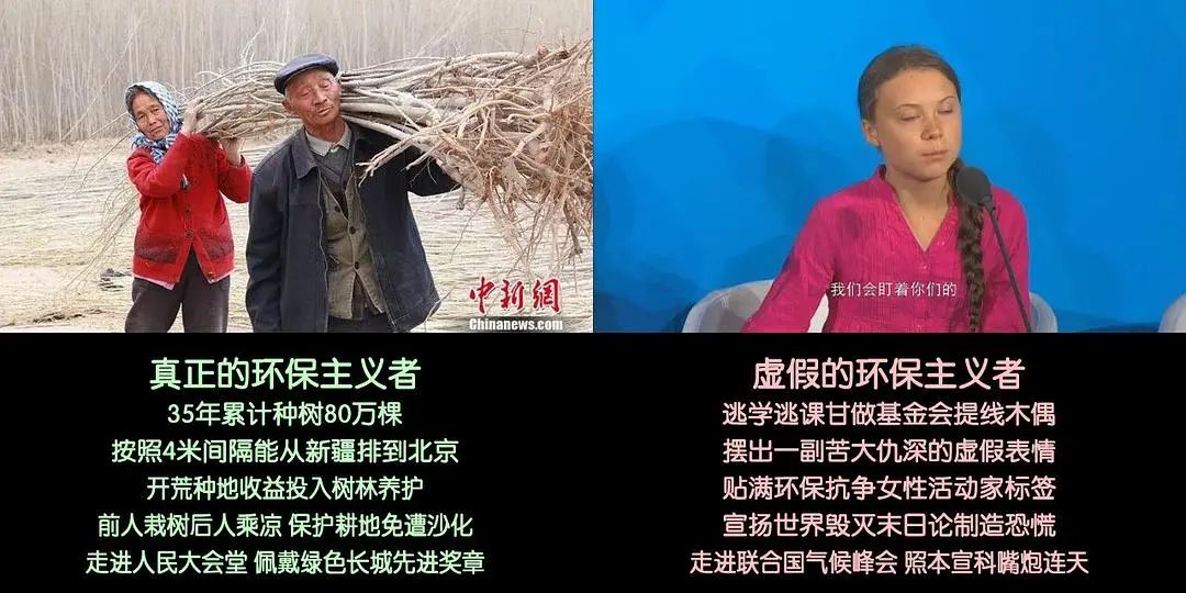 从阴谋到误读：你关于森林危机的想法可能全错了