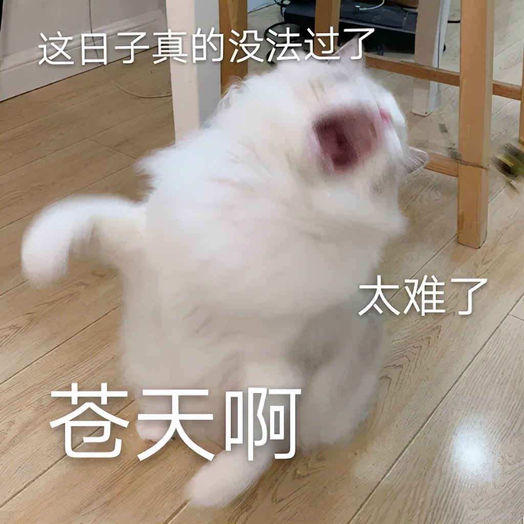 四六级过了但不到500分，会有哪些影响？