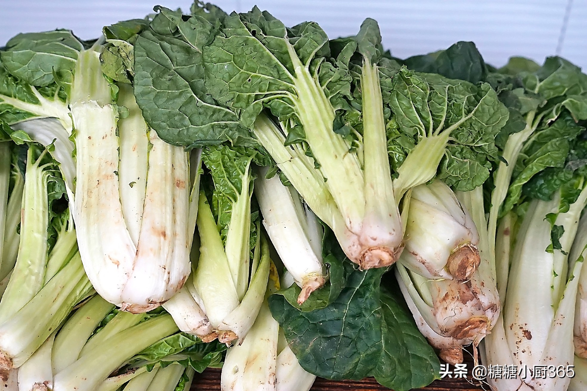 想吃酸菜馅饺子别买酸菜了，自己做更酸爽，做法简单4天就能吃上