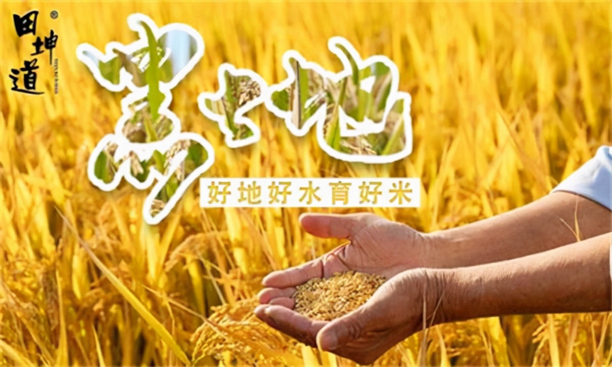 香米和大米的区别（那些关于大米的相关知识告诉你）