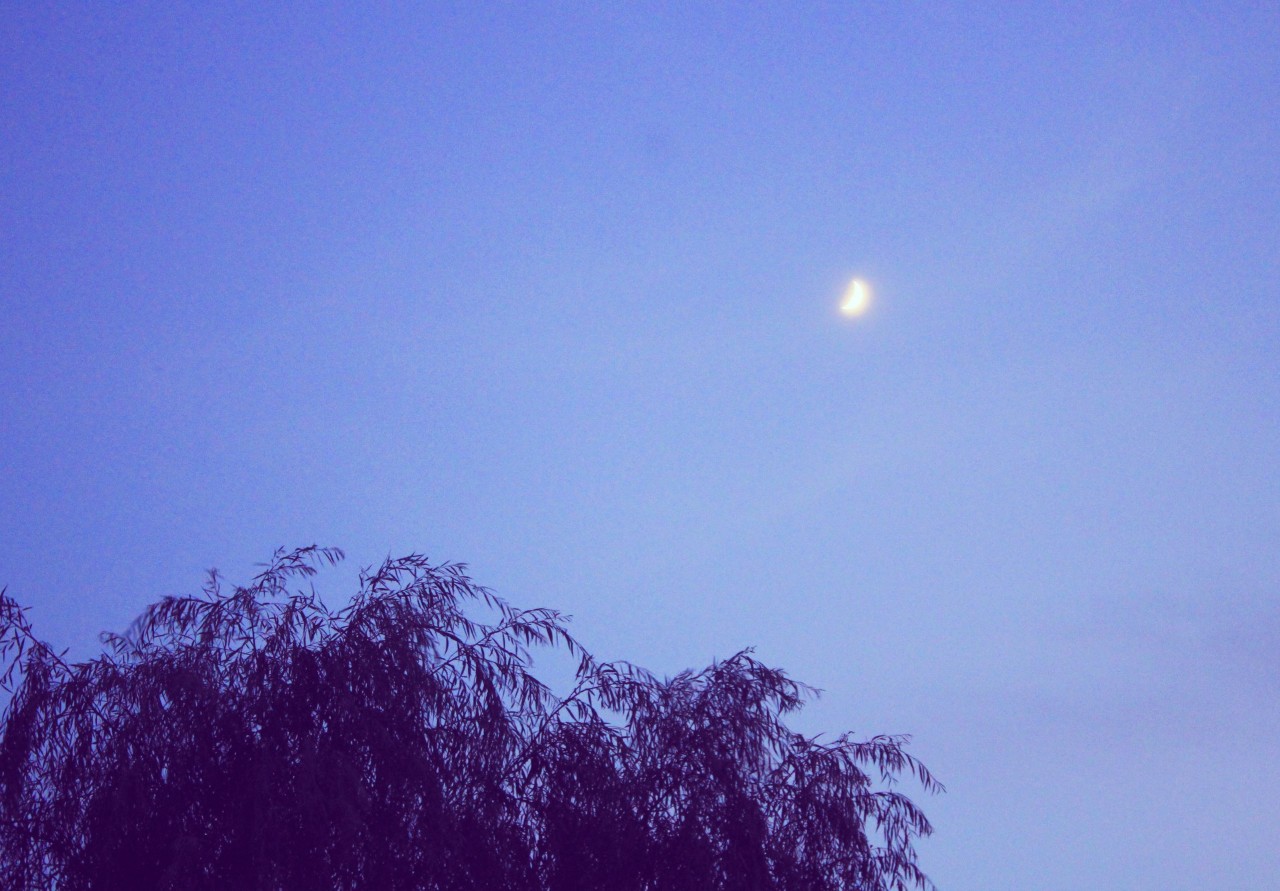 九首风月诗词:醉拥清风,静赏明月,是最浪漫的事