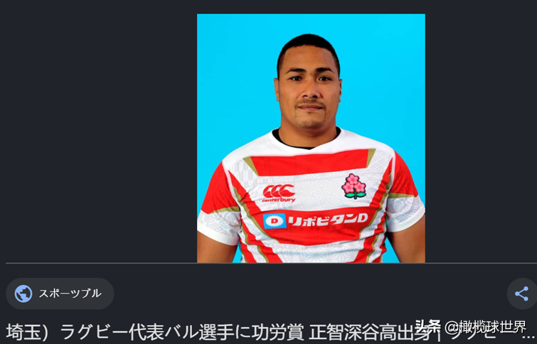 橄榄球世界杯日本队名单(Rugby青春热血之路-全国大赛 简单又残酷)