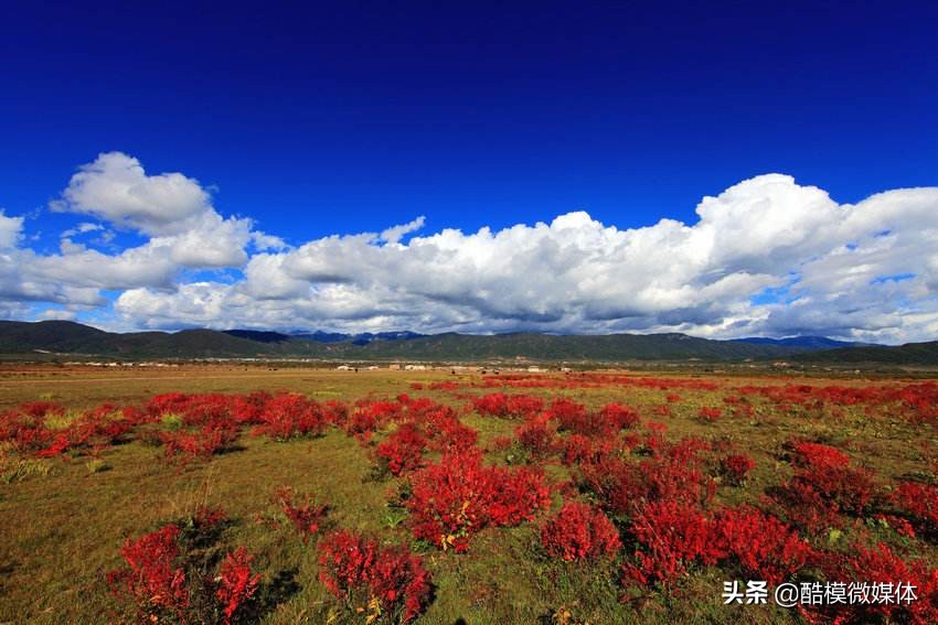镇雄，镇守雄关之意，位于云贵川三省交界，有鸡鸣三省之谓