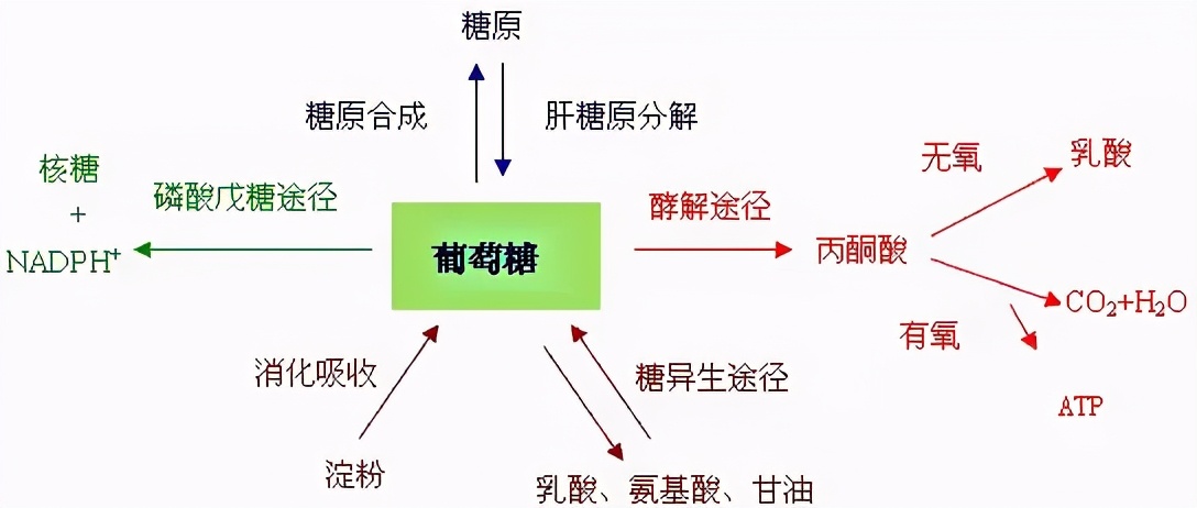 那些蕴含着生物学知识的谚语