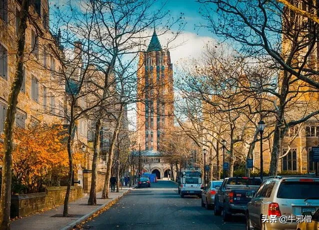 全美TOP50中就业率最高的8所大U，纽约大学称王，两所藤校上榜