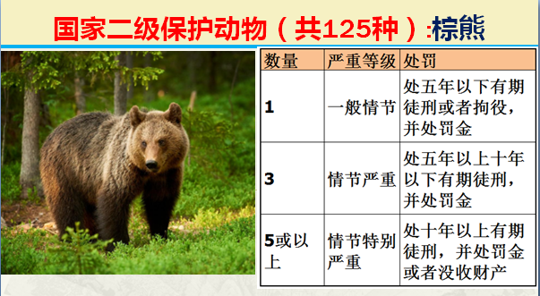 国家保护动物分几个等级（125类二级野生保护名录）