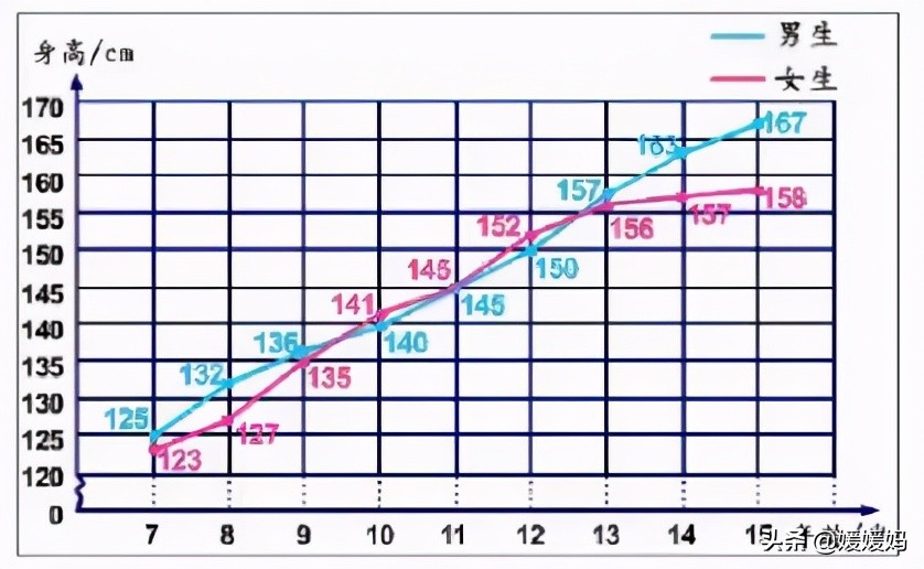 人教版五年级数学下册总复习知识点