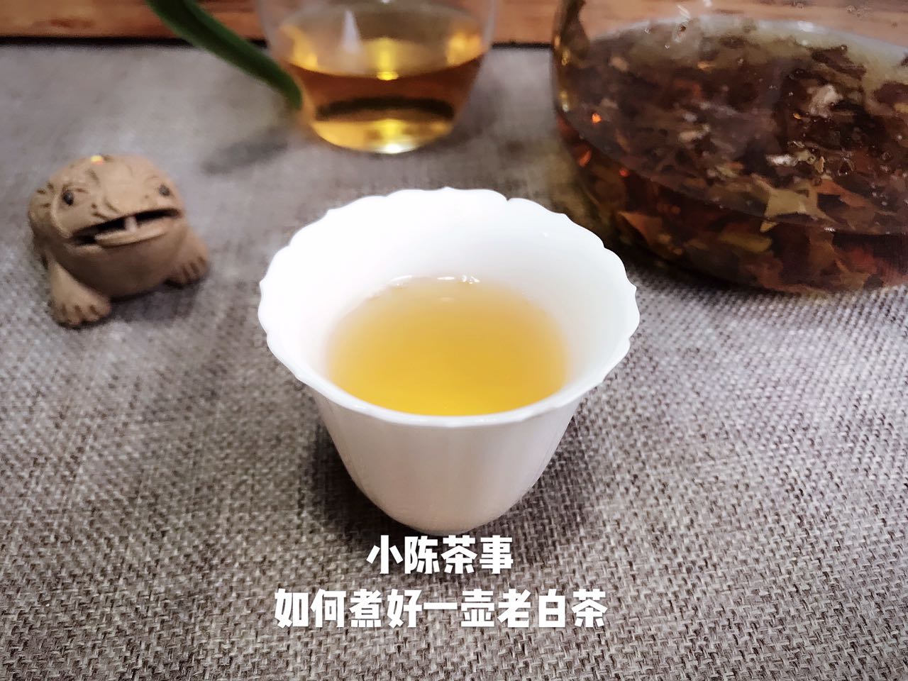 煮茶工具不会挑？养生壶、玻璃壶、粗陶壶，哪个是煮茶的一把好手