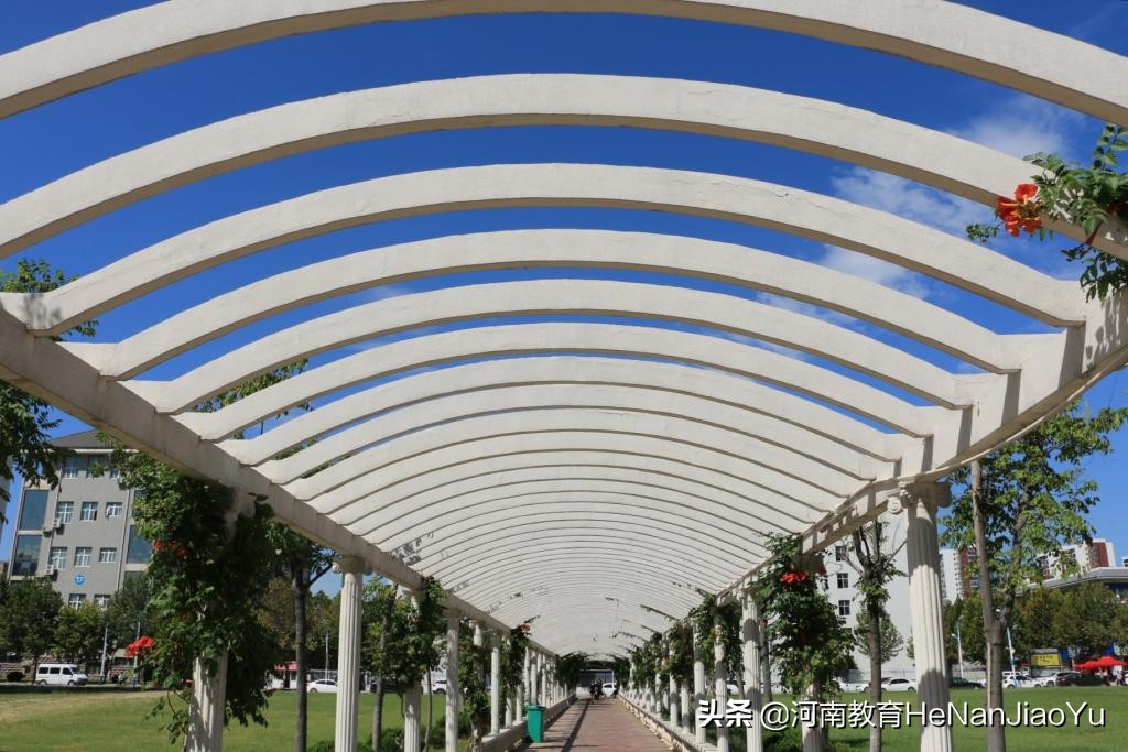 高职扩招————开封大学专业介绍（一）