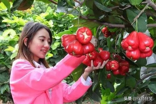 海南省十大特产 海南有哪些土特产 海南著名特产排行榜