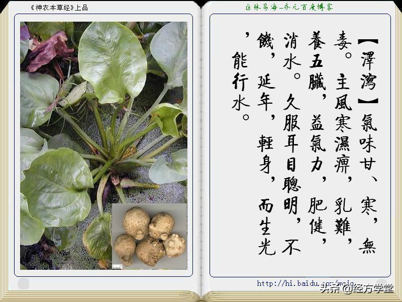 《神农本草经》全册图文解析 建议收藏