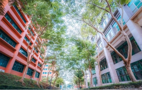 广东“新增”2所民办本科，录取分数不算高，适合中等生捡漏