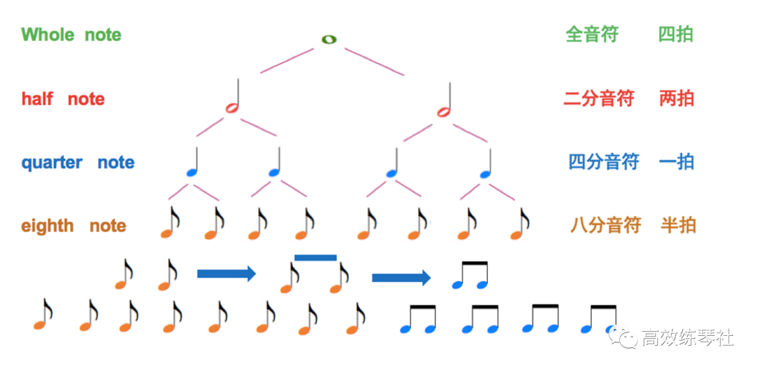音基考试 | 每周五题「第十二期」056—060