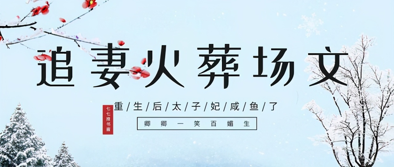 「推文」五本追妻火葬场古言，女主死心，男主痛哭流涕求原谅