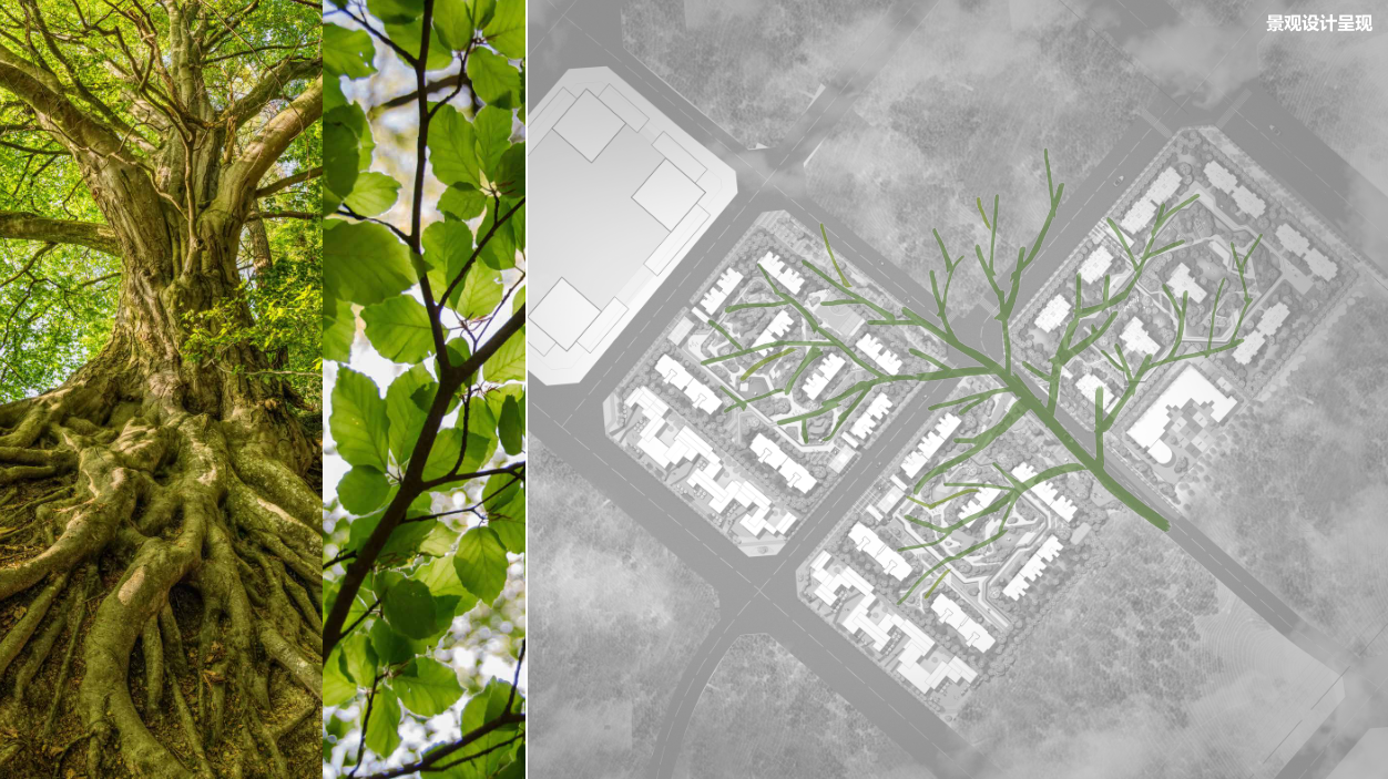 设计新思路,生命树概念,能量守恒,树,枝,干三层