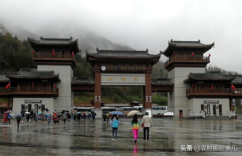 米仓山10天天气预报15天(秦岭以南、五岭南坡以北水青冈树形成的美景让人心旌荡漾遐思无限)