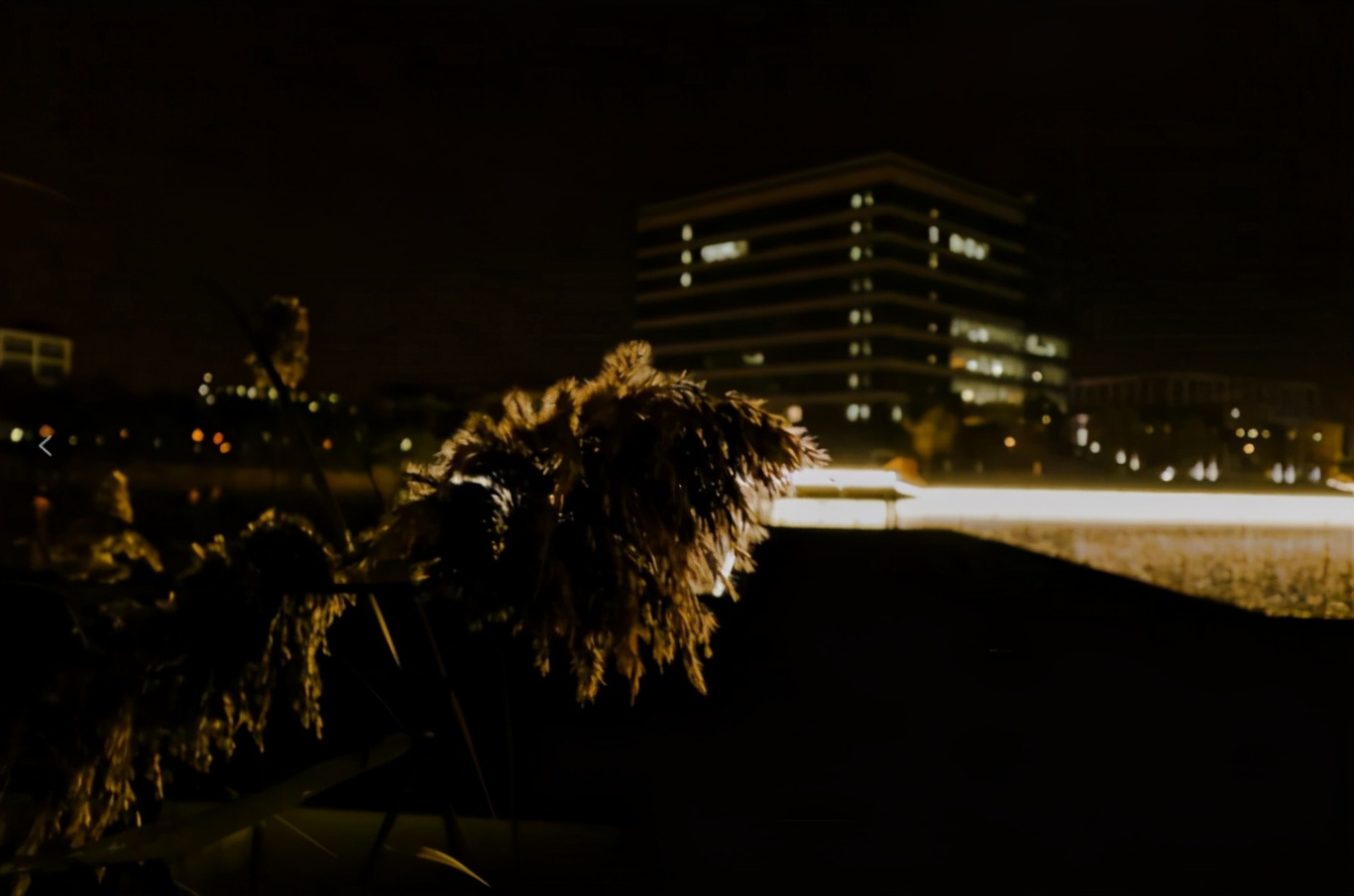 瞩目！中国最大经济中心、