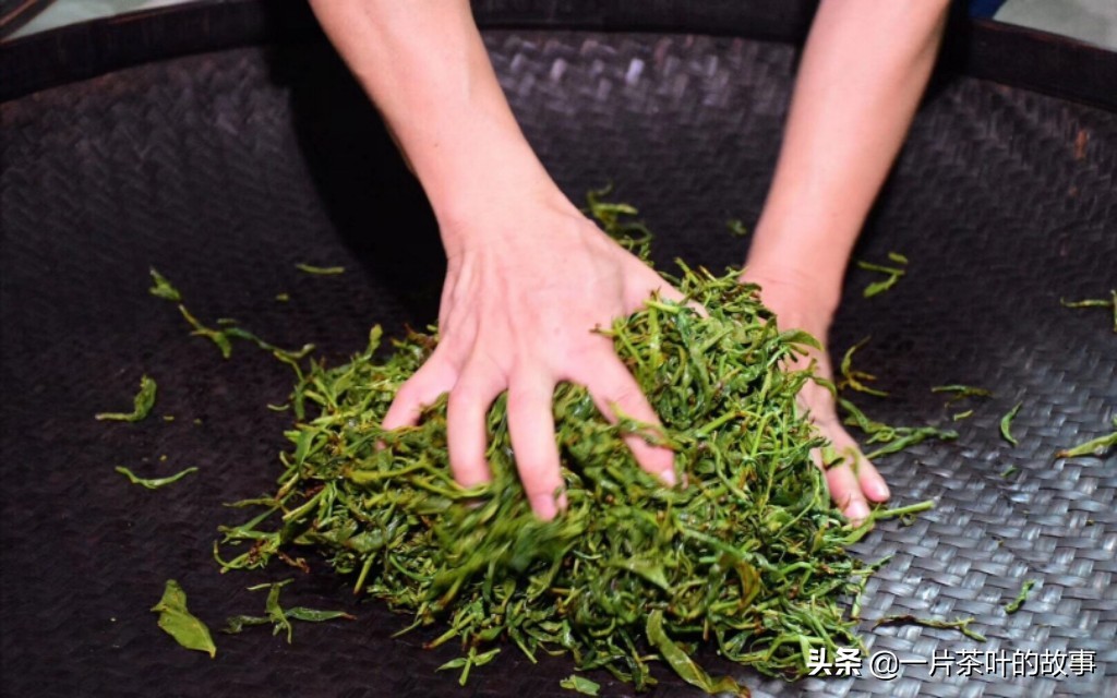 凤凰单丛的十大香型，香气从何而来？