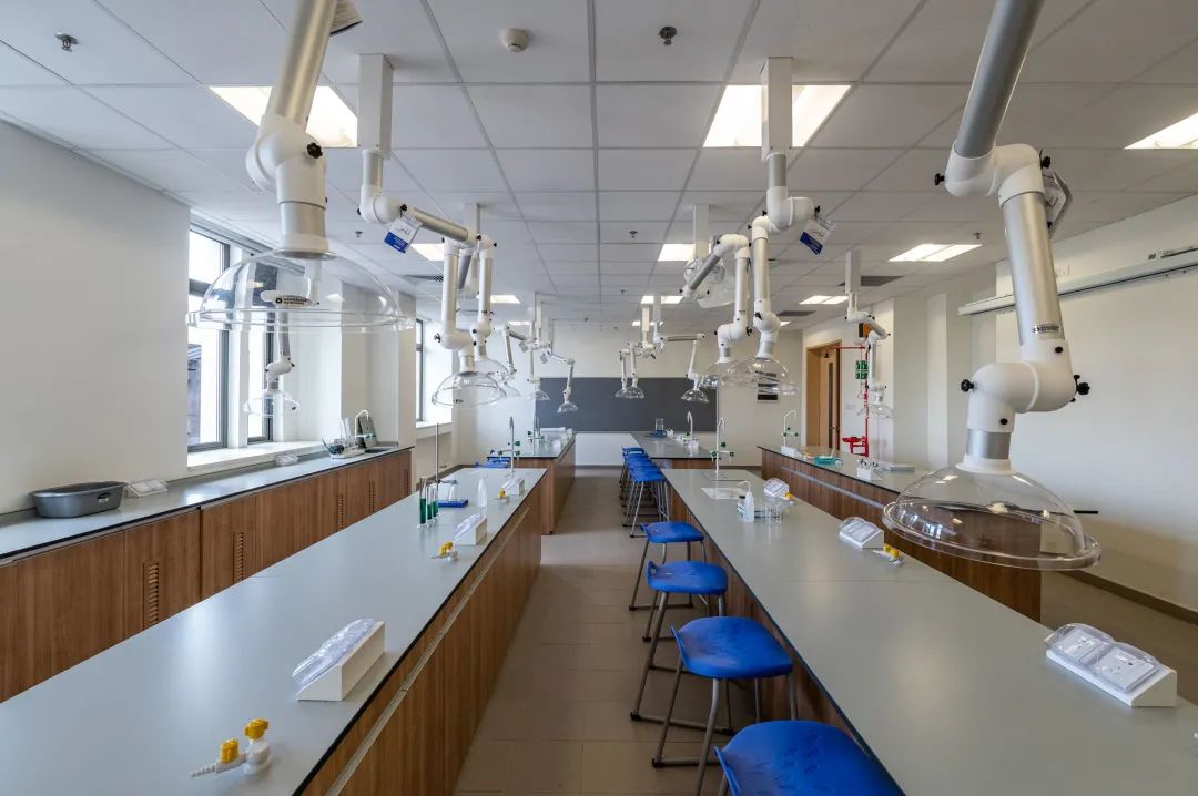 深圳第二，全国第21！初出茅庐即大放异彩！哈罗深圳学校了不起