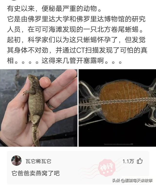 神回复：能和警察说我的律师马上就到的人，一般是什么档次的？