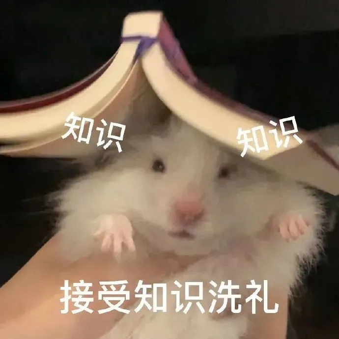 2021年深圳在职人才入户网上测评、办理入口、流程