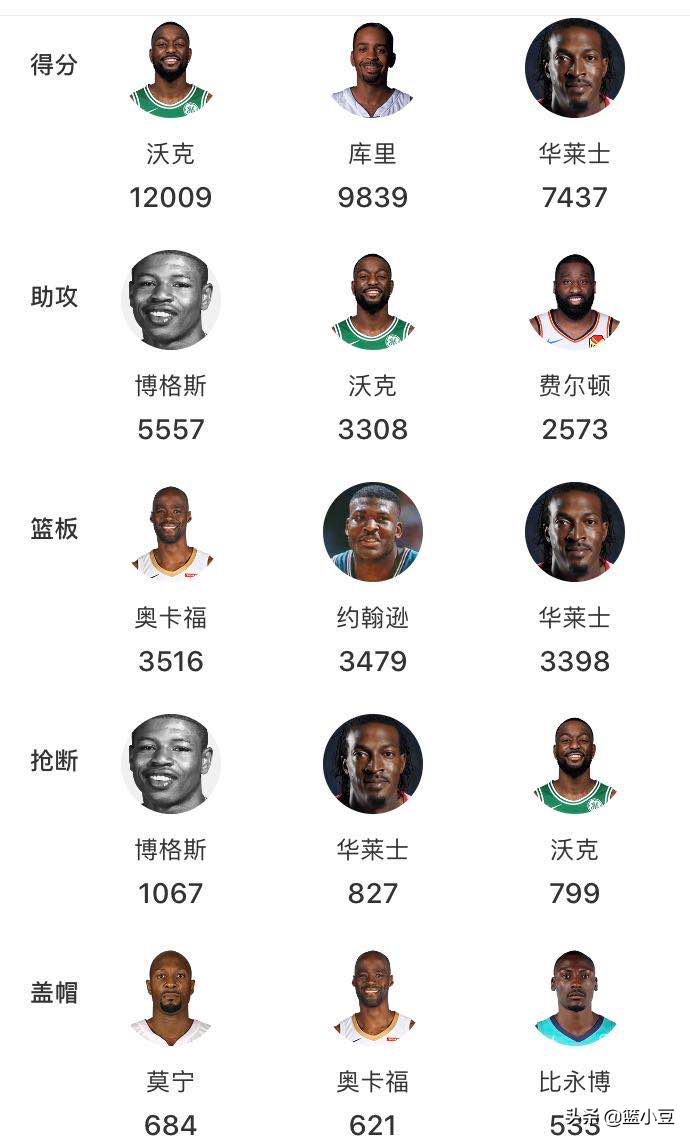 黄蜂队为什么改为nba球队(深度探秘：迈克尔·乔丹为什么要把山猫队改回黄蜂队？)