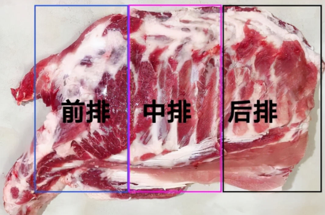 而说到排骨,也是分不同部位的,具体分为"前排","中排"和"后排"