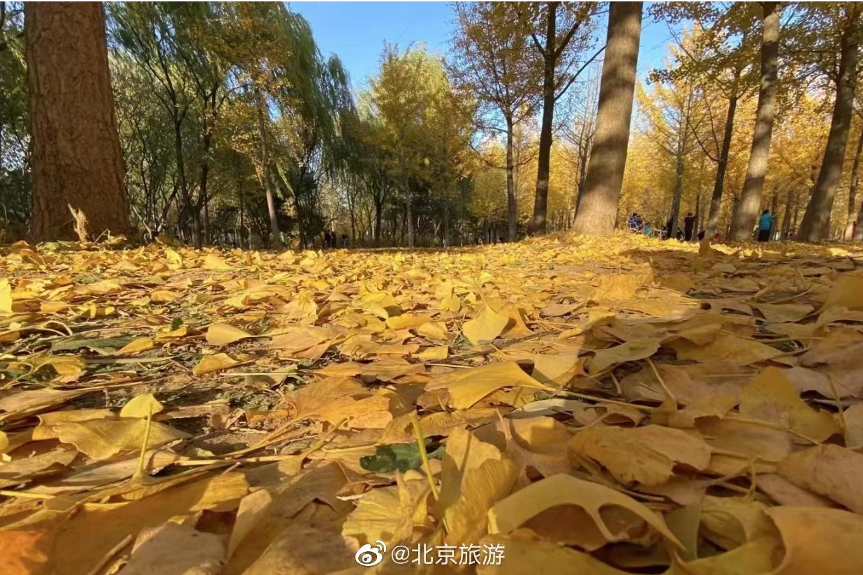 北京旅游点有哪些景点(中国旅游点有哪些景点)