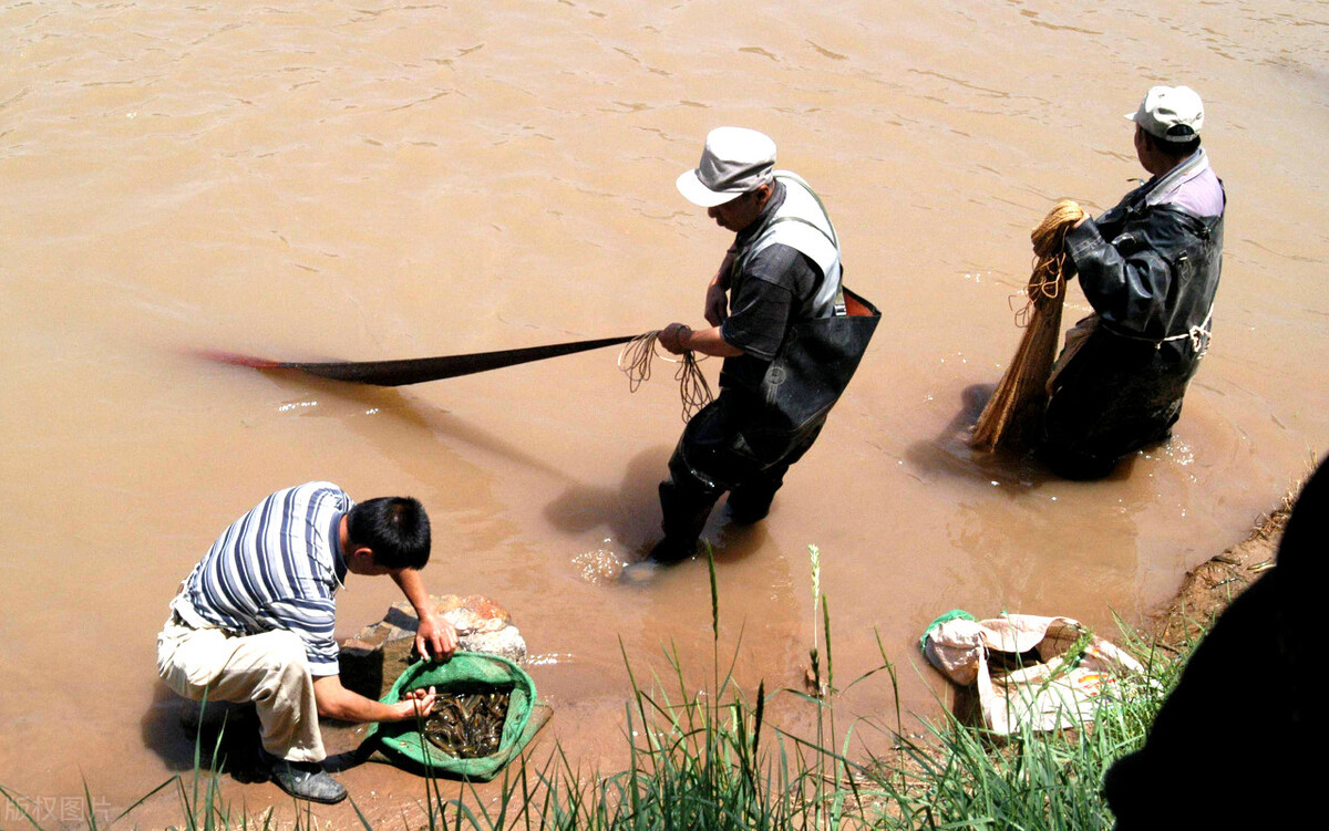 调水是什么意思(黄河调水调沙19年，下游成“泥河”，专家却说黄河水在变清？)