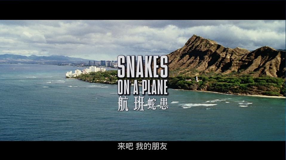 电影:航班蛇患