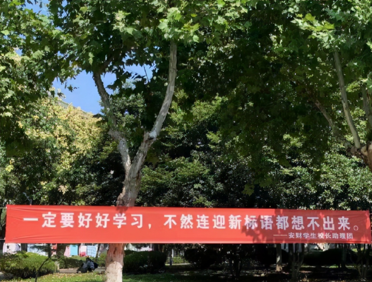 大学迎新标语叫人眼前一亮，安徽财经大学新生表示，这也太朴实了
