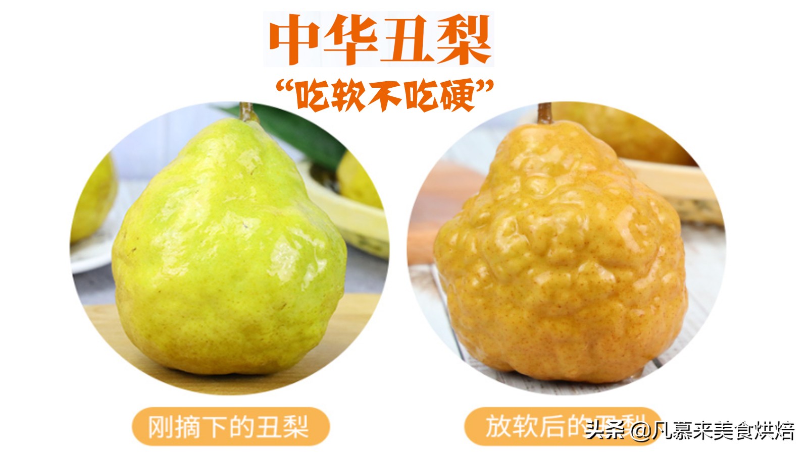 苹果梨图片（盘点全国最好吃的50种梨快收藏）
