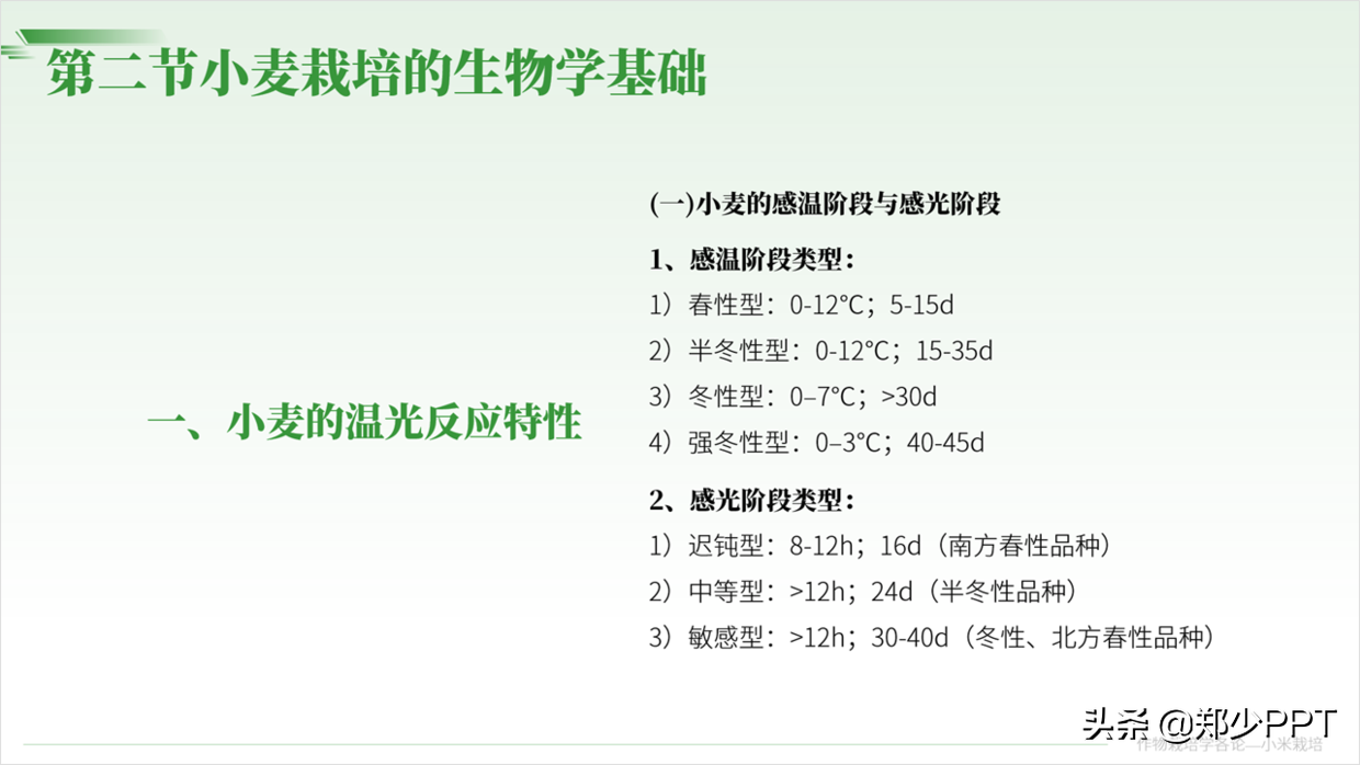 用了2个小时，设计了一份农作物栽培PPT，同事说效果很赞