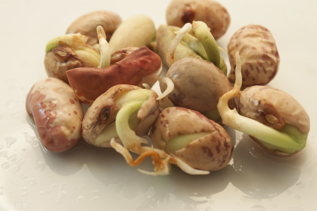 哪些蔬菜发芽后能吃，哪些不能吃？或许很多人浪费了