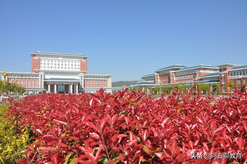 安徽滁州高校“大揭底”！2所本科、2所专科