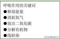 2018年人教版七年级上册生物期末试题及答案