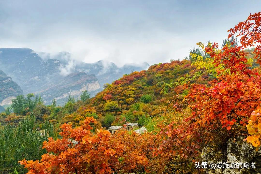 京杭大运河的秋，串联8城之美，惊艳千年时光