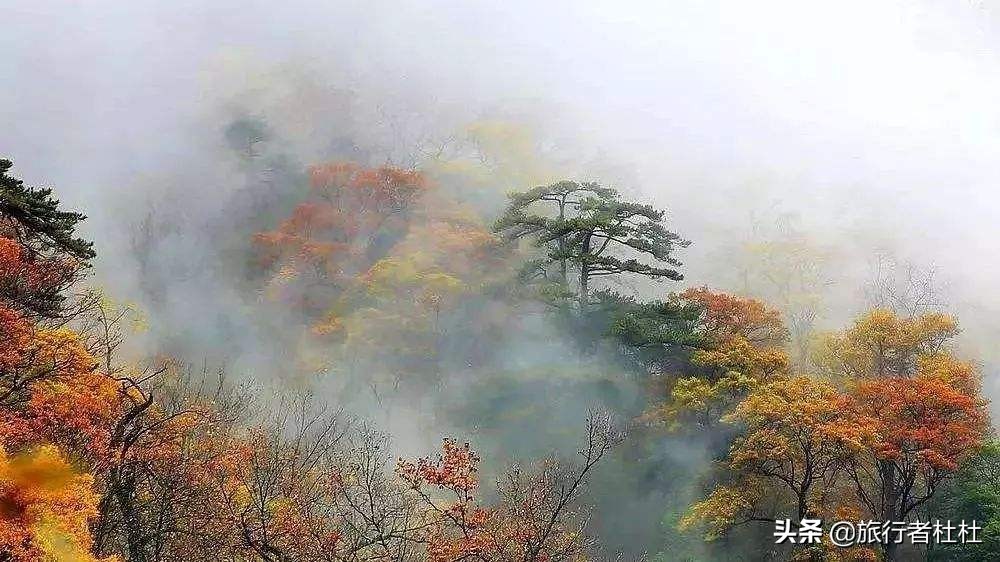 武当山、神农架、恩施大峡谷、九宫山，荆楚大地湖北十大名山