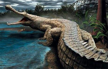 史上最大的鳄鱼，嘴巴比人体还长，体重堪比一头大象，可猎杀恐龙