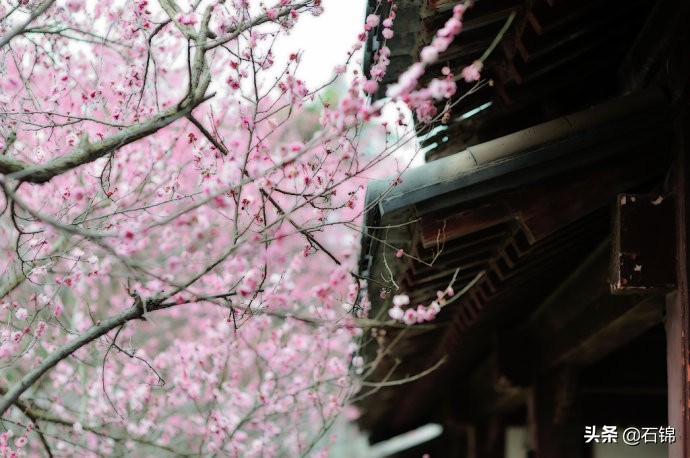 七首唯美暮春诗词，在诗词中欣赏春日最后的风景