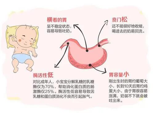 为什么要帮宝宝拍嗝，怎么拍，拍多久？3种方法，总有一款更顺手