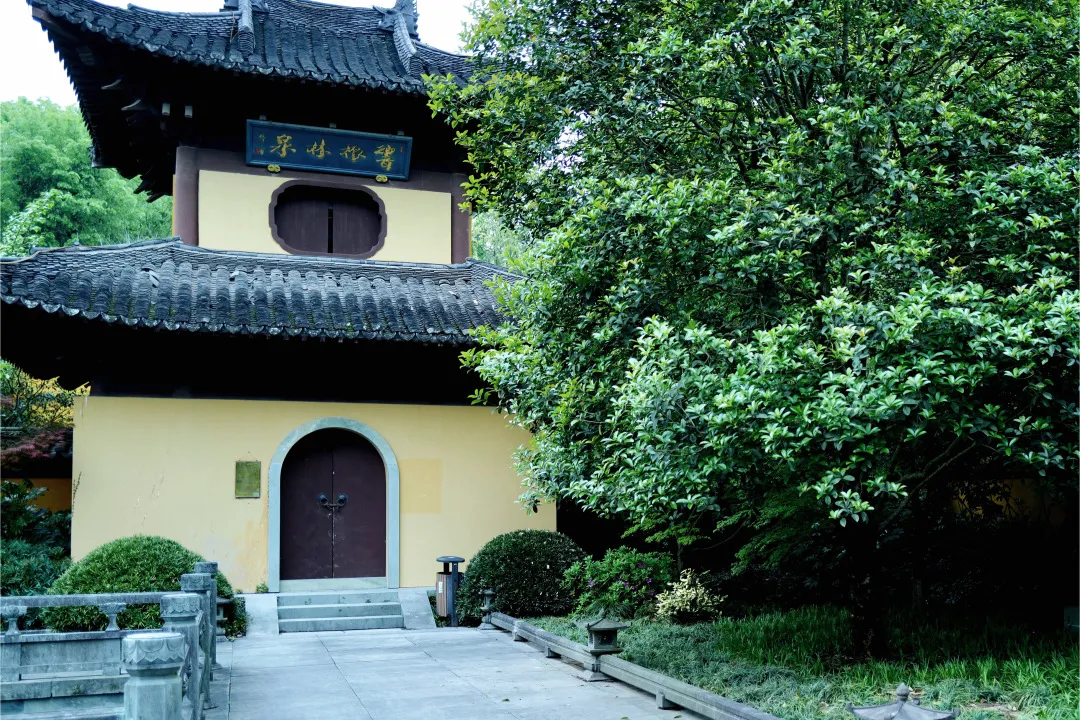 杭州终极拜佛攻略｜走这条路，一天解锁灵隐法喜7大宝藏寺庙