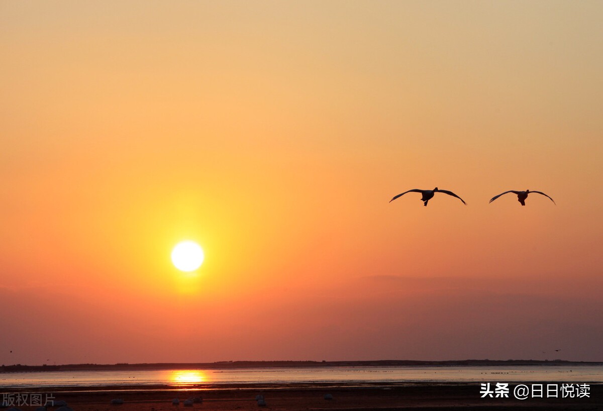 陋室一抹绿，怡情怡景更怡心