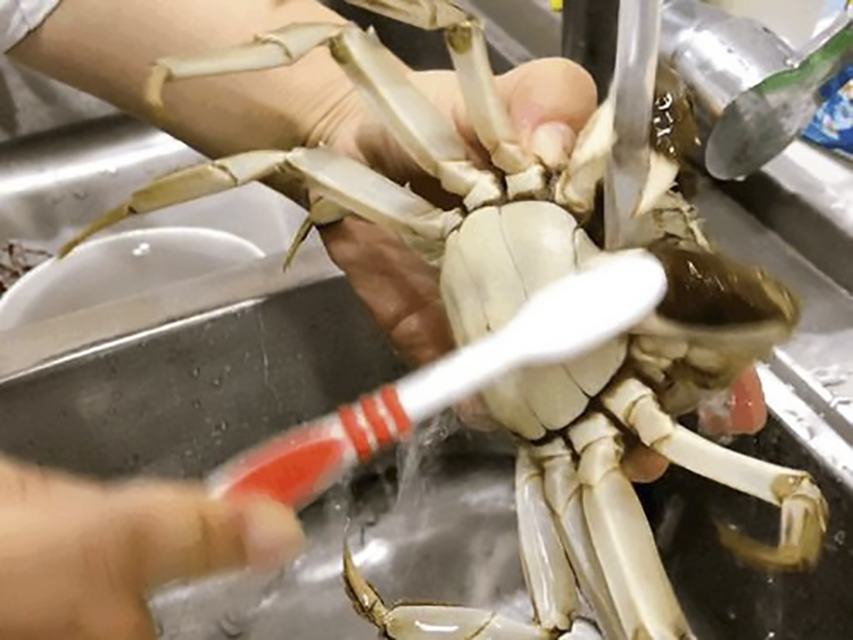 如何蒸螃蟹(这才是清蒸螃蟹的正确做法，不流黄，不掉腿，比饭店虾肉还鲜嫩)