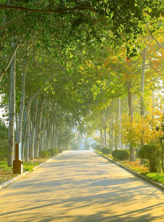 潍坊最好的5所高中，2020年高考9人进入省前50，还有一名是省状元