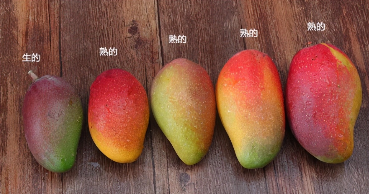 芒果的功效与作用禁忌 男人吃芒果可以壮阳吗