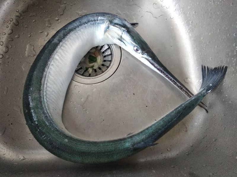 海鲜市场这6种长相奇葩的鱼,内行人才会买来吃,至今还无法养殖